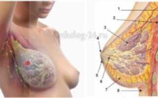 Что то твердое под сосками у девочки 5 лет