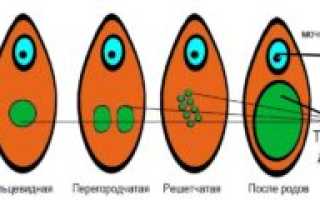 Может ли зарасти девственная плева?