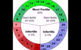 Возможна ли беременность без ПА?