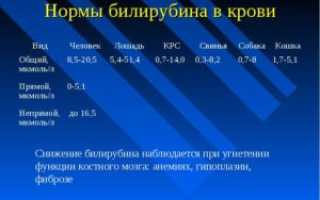 Может ли повышаться билирубин