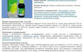 Можно ли начать прием цистона после пролита