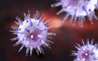 Вирус Эпштейна барр