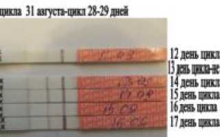 Возможна ли беременность на 12 день цикла?
