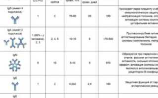 Высокий IgG на отдельные продукты питания при отсутствии IgE