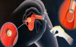 Могла ли я забеременеть