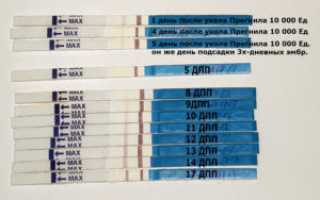 ЭКО 9 день после переноса