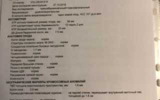 Узи на 7 неделе беременности расшифровка