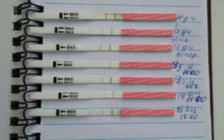 Может ли наступить беременность на 11 день цикла