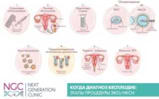 Дюфастон после пункции фолликулов