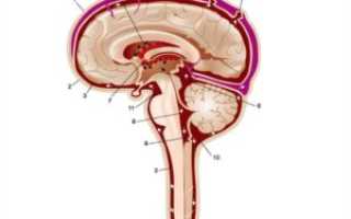 Дилатация ликворной системы головного мозга и субархидаидального пространства