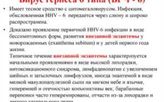 Вирус герпеса 6 типа